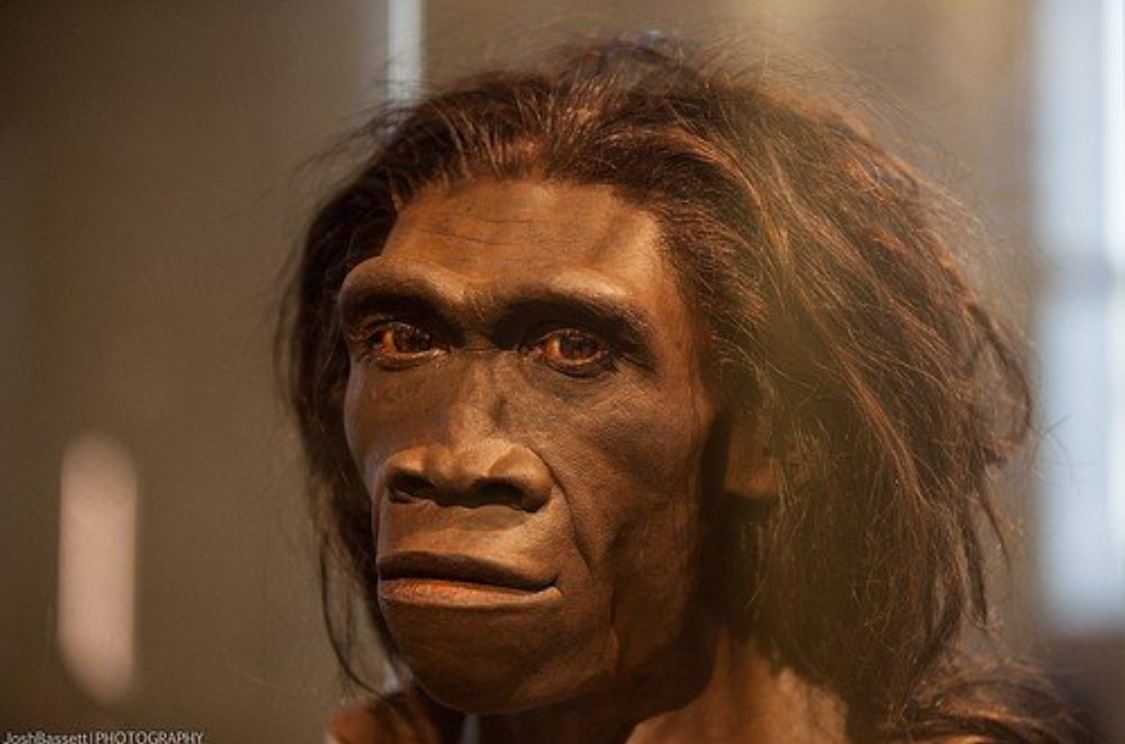 Homo Erectus insani ve onceki kimseleri yarattik