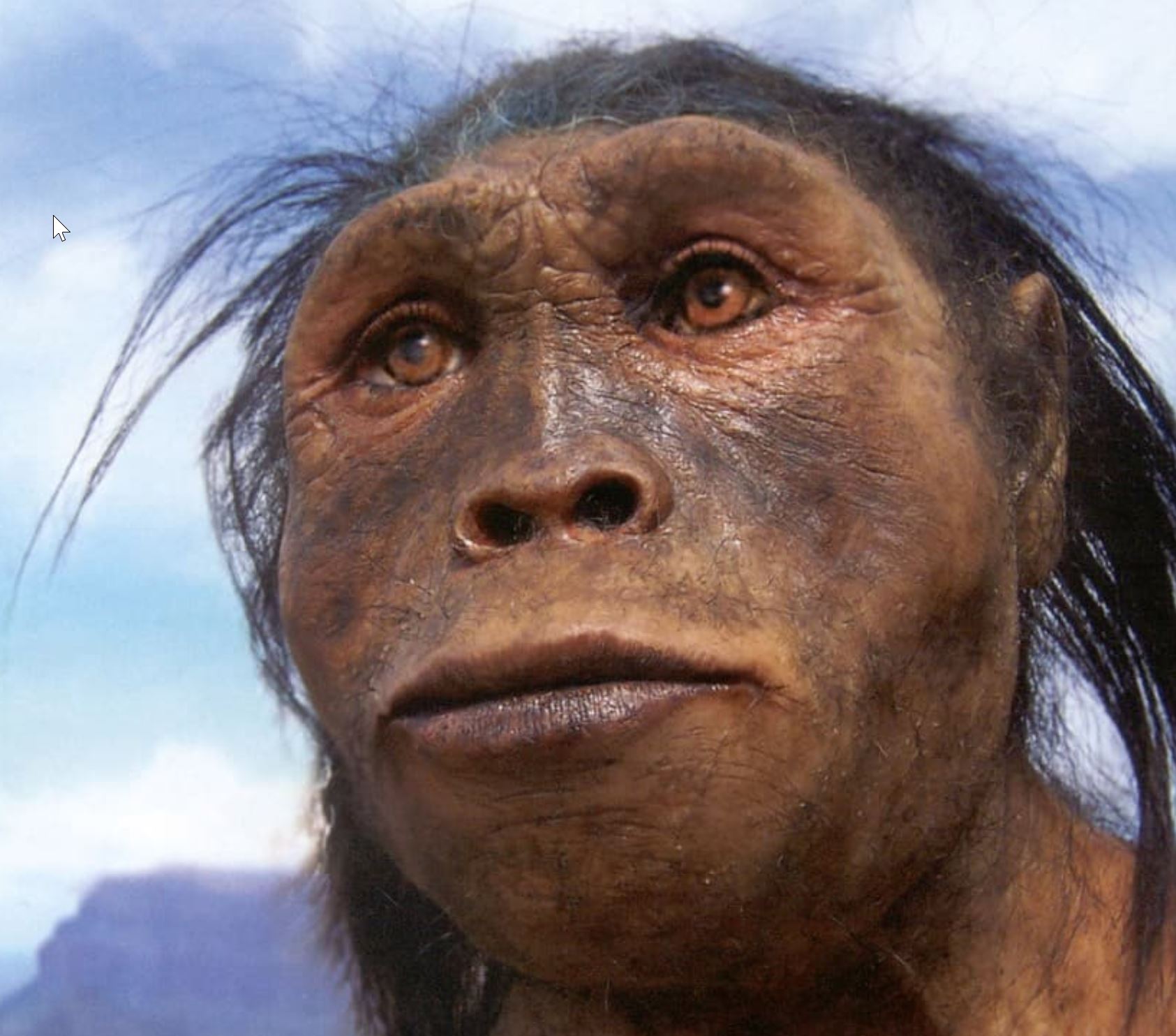 Homo Habilis insani ve onceki kimseleri yarattik