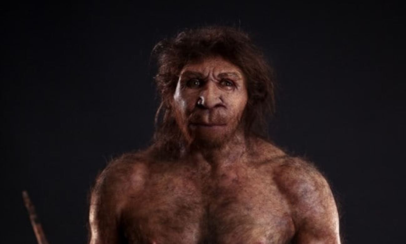 Homo Heidelbergensis insani ve onceki kimseleri yarattik